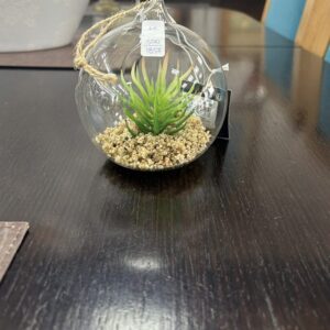 Φυτό σε γυάλα Φ10.5 (500/1857)