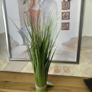 Φυτό χορτάρι Φ8 Υ60 (500/1861)